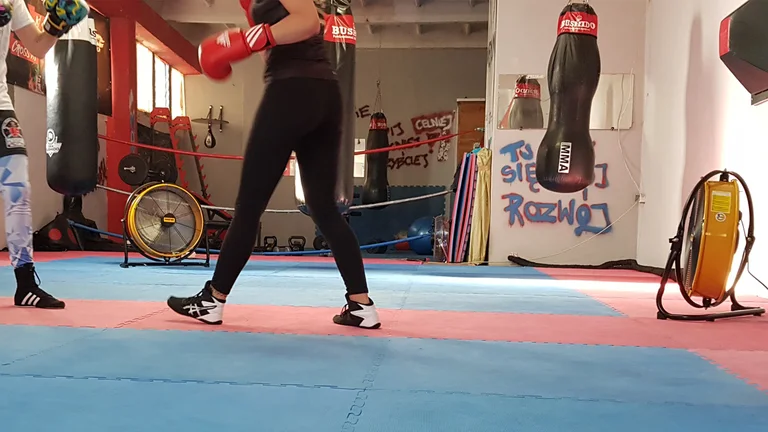 Aperçu du contenu sur le DF 20