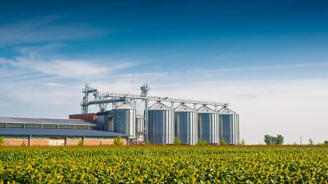 Calorex lagring i silo web