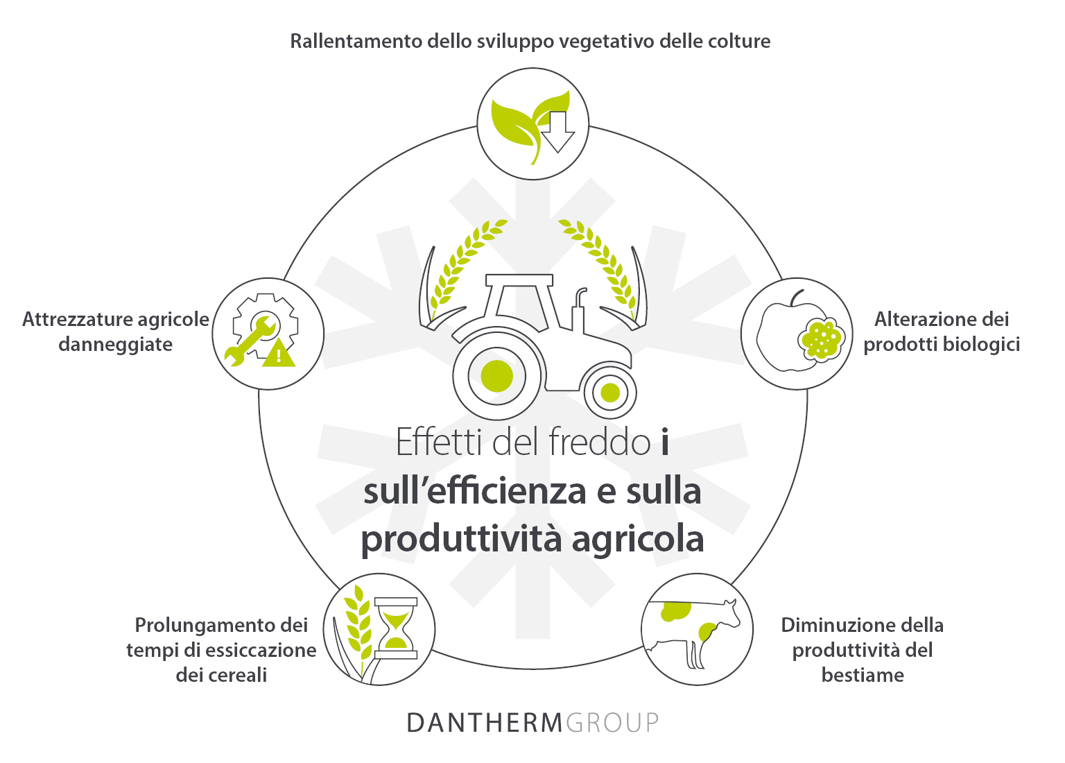 Come il freddo influisce sul settore agricolo in termini di colture, bestiame e attrezzature - Infografica