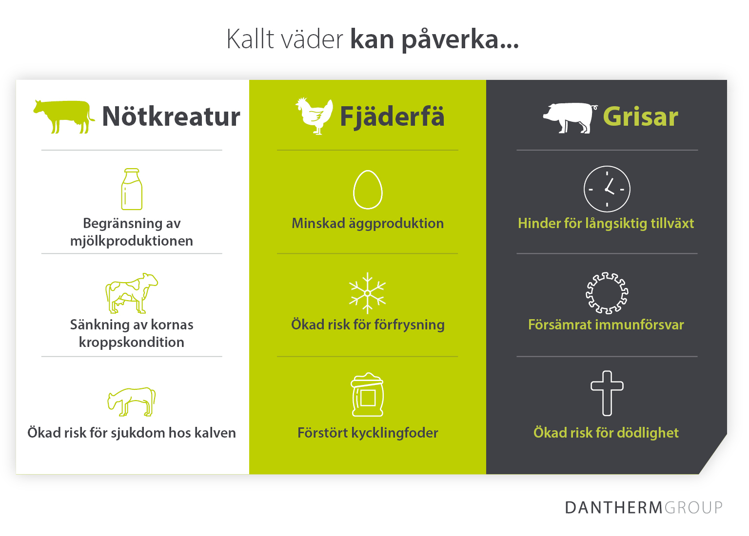 Hur kallt väder och kalla förhållanden påverkar uppfödning och produktion av nötkreatur, fjäderfä och svin - Dantherm Group